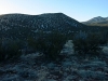 Cedar Mountain