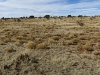 Cuervo Mesa