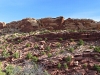 Andys Mesa