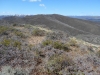 Thornburgh Mountain
