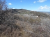 Thornburgh Mountain