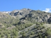 Parrot Peak