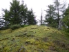 Cooney Benchmark