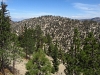 Winston Ridge