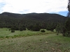 Goat Mountain