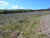 Boobe Hole Mountain