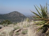 Sun Mountain