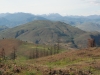 Patterson Mountain