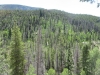 Iron Mountain
