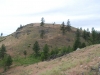 Hamilton Mountain
