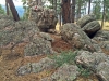 Flagstaff Mountain