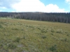 Cooper Mountain