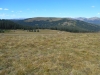 Wingle Ridge