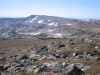 Ethel, Mount