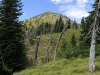 Robinson Mountain