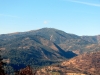 Forest Mountain