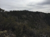 Parker Mountain