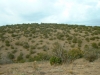 Cerro Chato