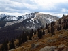 Wildcat Mountain