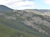 Porcupine Hill