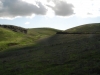Sherburne Hills
