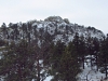 Cooney Hills