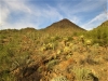 Silver Bell Peak