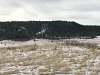 Spruce Mountain