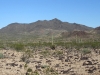 Webb Mountain