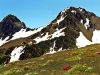 Buckhorn Mountain
