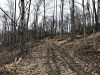 Greene County HP