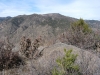 Table Mountain
