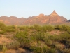 Montezuma Head