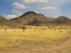 Mustang Mountains (HP)