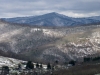 Cataloochee Balsam