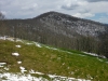 Walker Bald