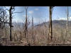 Goldenwing Mountain