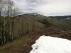 Bald Mountain