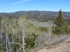 Mormon Ridge