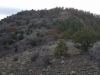 Delilah Peak
