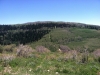 Coal Ridge
