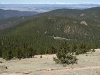 "Bison View"