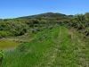 Waterdog Peak