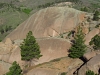 "Whale Dome"