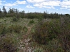 Tecolote Peak