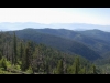 Onion Ridge