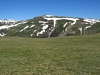"Beartown Bald"