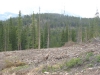 Gibson Hill
