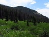 "Margi's Knoll"