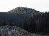 "Margi's Knoll"
